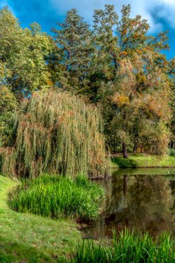 Sonbahar manzarası kahverengidir, sarıdır, kırmızıdır ve sonbahar yaprakları renk değiştirir ve düşer.