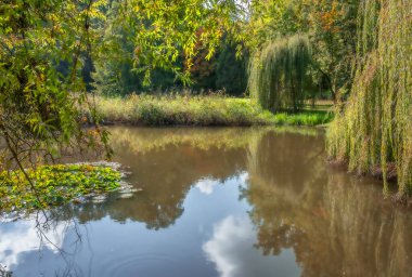 Sonbahar manzarası kahverengidir, sarıdır, kırmızıdır ve sonbahar yaprakları renk değiştirir ve düşer.