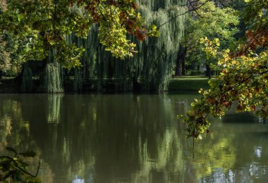 Sonbahar manzarası kahverengidir, sarıdır, kırmızıdır ve sonbahar yaprakları renk değiştirir ve düşer.