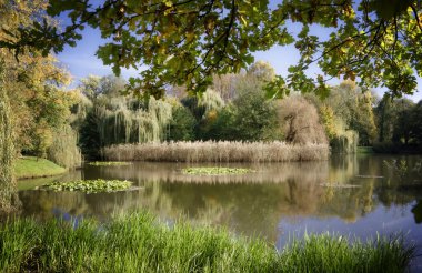 Sonbahar manzarası kahverengidir, sarıdır, kırmızıdır ve sonbahar yaprakları renk değiştirir ve düşer.