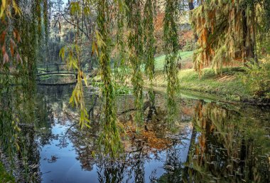 Sonbahar manzarası kahverengidir, sarıdır, kırmızıdır ve sonbahar yaprakları renk değiştirir ve düşer.