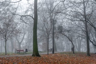 Yoğun sis, başta hava yolu olmak üzere taşımacılıkta büyük güçlüklere neden olur.