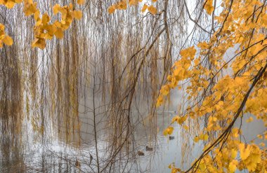 Sis yükseliyor yağmur müjdeleri