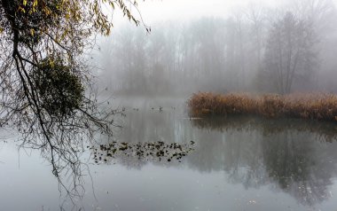 Akşamları sis belirir ve gün ışığının ilk ışıklarıyla kaybolursa, güzel bir gün olacağa benziyor.