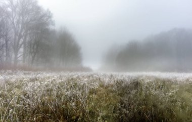 Doğadaki sis belirsizliği sembolize eder, belirsizlik kaybın, dolaşmanın ve yönünü şaşırmanın bir metaforu olabilir..
