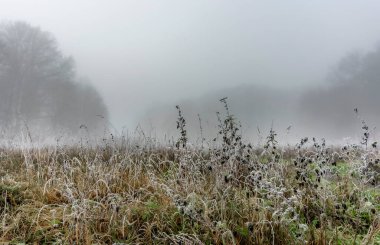 Doğadaki sis belirsizliği sembolize eder, belirsizlik kaybın, dolaşmanın ve yönünü şaşırmanın bir metaforu olabilir..
