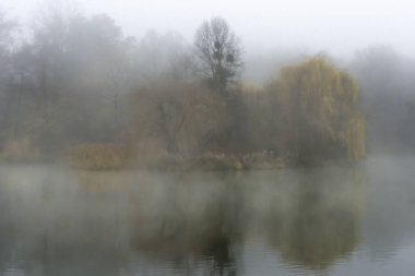 Sis, hava yere yakın yüzen küçük su damlacıklarıyla doluyken doğada doğal bir olaydır.
