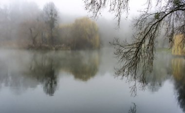 Sis, hava yere yakın yüzen küçük su damlacıklarıyla doluyken doğada doğal bir olaydır.