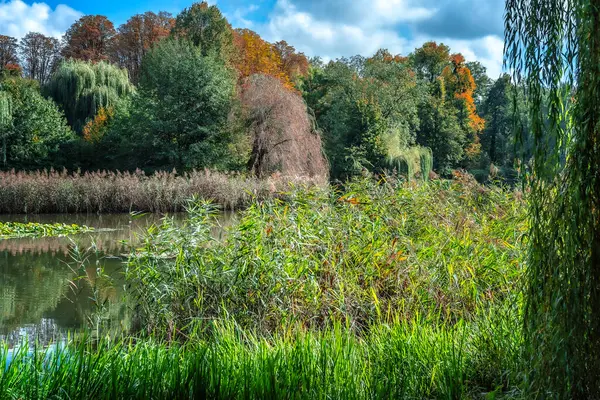 Ormanda sonbaharın sıcak altın renkleri