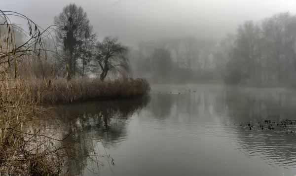 Sis, özellikle sabahları eşsiz bir manzara yaratır.