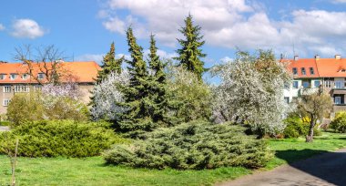 Baharda her şey hayata döner ve griden renkler ortaya çıkar.