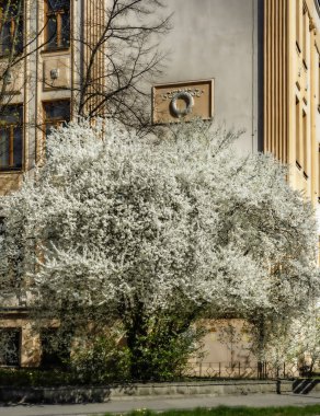 Baharda tüm doğa canlanır ve dünya renklenir.