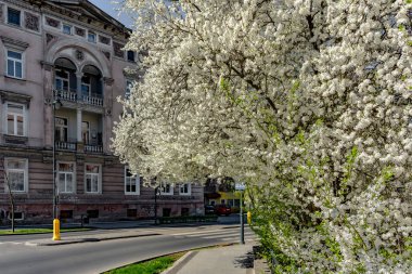 Baharda tüm doğa canlanır ve dünya renklenir.