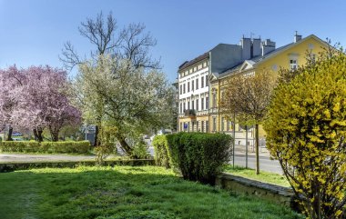 Baharda tüm doğa canlanır ve dünya renklenir.