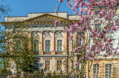 Baharda tüm doğa canlanır ve dünya renklenir.