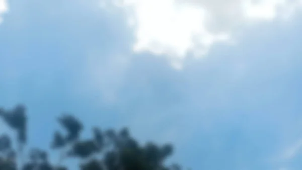 Defocused abstract background of blue sky with trees, Jakarta, Indonesia