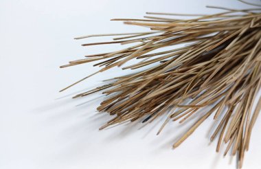 Isolated object: texture of a broomstick made from bones of coconut leaves, on a white background