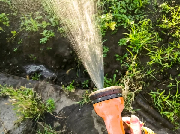 Sprinkler Giardino Mano Cuscinetto Potabile Colture Giardino Versamenti Acqua Irrigatore — Foto Stock