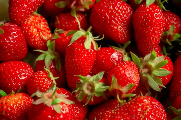 Beautiful Red Strawberries Green Tails Ripe Strawberries Spring Berries Healthy — Stock Photo, Image