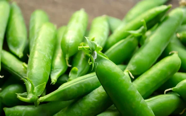 Green pea pods close-up. Lots of green pea pods. Useful legumes in spring and summer. Sweet peas for the diet.