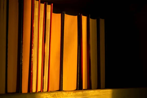 架子上的书被太阳光照亮了 升起的太阳的美丽光芒落在书本上 书架上有一排书 — 图库照片