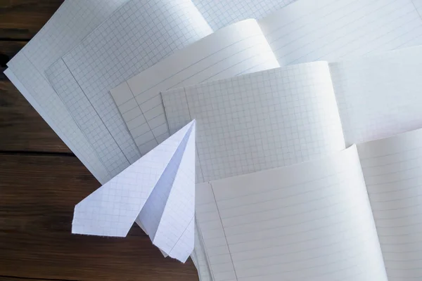 Self-made of paper on open school notebooks. On the open notebooks is a paper plane.