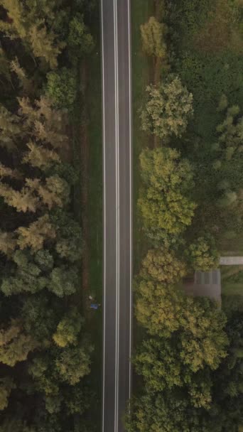 Car Drove Road Forest — Vídeo de Stock