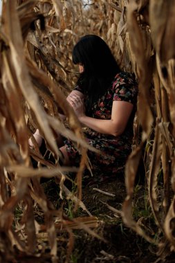 Mısır tarlasında bir kızın portreleri.