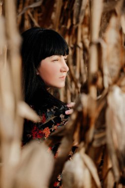 Mısır tarlasında bir kızın portreleri.