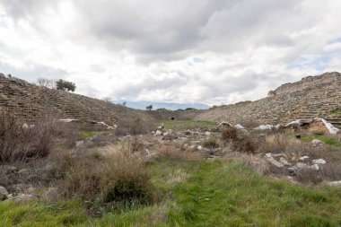Türkiye 'nin Afrodisias kentindeki stadyum, Roma dönemine dayanan dikkate değer ve iyi korunmuş bir yapı. 30.000 kişilik oturma kapasitesiyle, antik dünyanın en büyük stadyumlarından biriydi ve şehrin en önemli görevlerinden biriydi.
