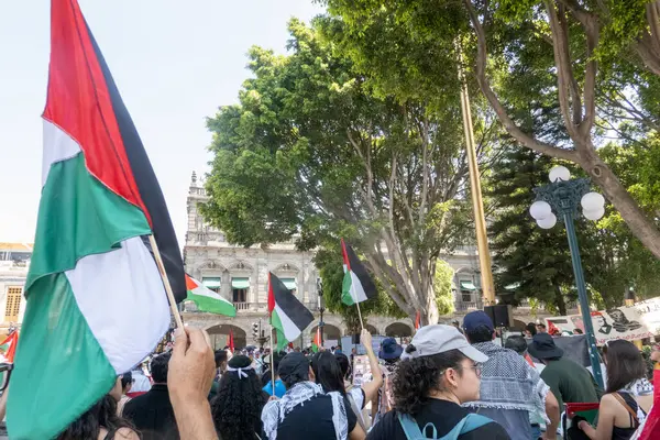 Puebla Mexico 16Th March 2024 Pro Palestine Rally Took Place Stock Image