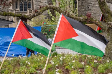 Toronto Üniversitesi 'nde Filistin bayrakları dikildi. Öğrenciler Filistin yanlısı bir kampla kampüsü işgal ediyor, Filistin hakları için küresel hareketleri yansıtırken, muhalif görüşleri dışlayan engeller koyuyor, kampüs pola 'sını yoğunlaştırıyor.