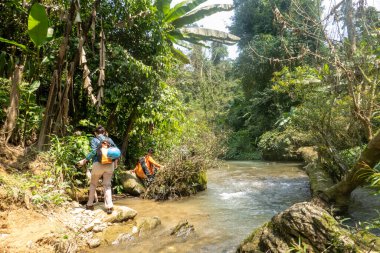 PHONG NHA, VİETNAM - 12 Mart 2025: Turistler Phong Nha, Vietnam 'daki Ke Bang Ulusal Parkı' nda orman yürüyüşüne çıktılar