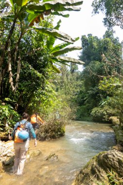 PHONG NHA, VİETNAM - 12 Mart 2025: Turistler Phong Nha, Vietnam 'daki Ke Bang Ulusal Parkı' nda orman yürüyüşüne çıktılar