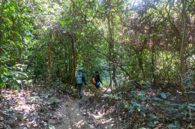 PHONG NHA, VİETNAM - 12 Mart 2025: Turistler Phong Nha, Vietnam 'daki Ke Bang Ulusal Parkı' nda orman yürüyüşüne çıktılar