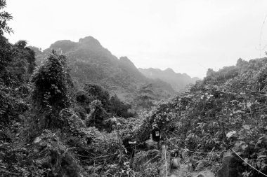 PHONG NHA, VİETNAM - 12 Mart 2025: Phong Nha, Vietnam 'daki Phong Nha Botanik Bahçesindeki dağların manzarası.