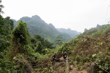 PHONG NHA, VİETNAM - 12 Mart 2025: Phong Nha, Vietnam 'daki Phong Nha Botanik Bahçesindeki dağların manzarası.