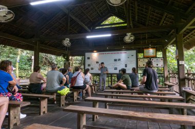 PHONG NHA, VİETNAM - 12 Mart 2025 Palyaço Mağarası 'ndaki Turistler.