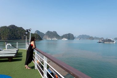 Lan Ha Körfezi, Vietnam 'da yolcu gemisinde turist.