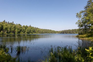 Connaught, Ontario 'daki Kettle Lakes İl Parkı' ndaki Oh-Say-Yah-Wah-Kaw patikasındaki su ısıtıcı gölü manzarası