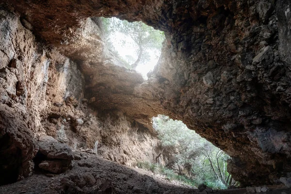 Cueva Rocas Camino Bosque Pinos —  Fotos de Stock