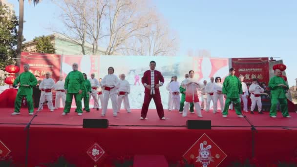 ローマ イタリア 2023年2月5日 中国人コミュニティの市民は ヴィットリオ エマヌエーレ広場の庭園内で大晦日パーティーを祝います このイベントは ダンス 伝統的な中国の公演で一般公開されています — ストック動画