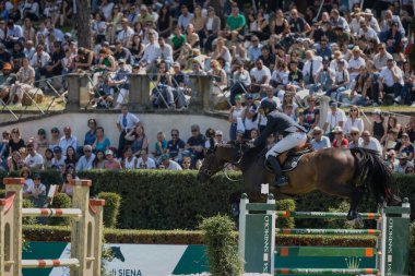 Roma, İtalya - 28 Mayıs 2023: ROME ROLEX GRAND PRIX 2023 Uluslararası Atlama, Piazza di Siena. İkinci tur, at binicisi Tim Gredley (GBR) yarışma sırasında oyun sahasında.