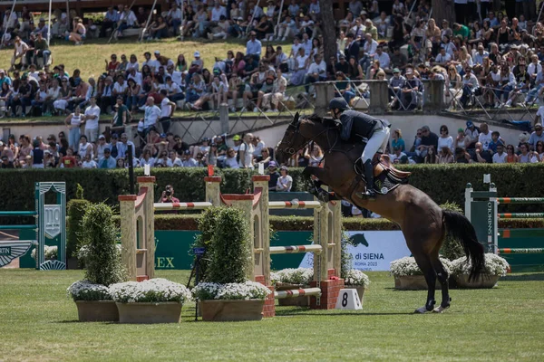 Roma, İtalya - 28 Mayıs 2023: ROME ROLEX GRAND PRIX 2023 Uluslararası Atlama, Piazza di Siena. İlk tur, at binicisi Tim Gredley (GBR) yarışma sırasında oyun sahasında.