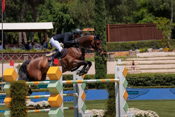 stock image Rome, Italy. 27th May, 2023. Alain Jufer (SUI) during the 90 CSIO ROMA 2023, CSIO5 Nations Cup - 1.55m - 110.000 EUR - LR - LORO PIANA TROPHY, at Piazza di Siena in Rome, Italy.