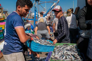 Essaouira, Fas - 2 Ağustos 2023: Limanın rıhtımında, balıkçılıktan dönen erkekler, balık pazarı için hazırlanan sardalyalarla dolu kutular.