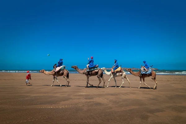 Essaouira Marocco Agosto 2023 Turistas Acompañados Por Guía Clásico Paseo —  Fotos de Stock