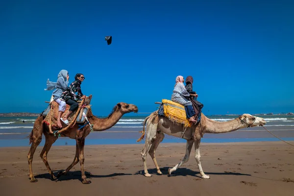 Essaouira Maroc Agosto 2023 Touristes Accompagnés Guide Dans Promenade Classique — Photo
