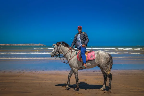 Essaouira Maroc Août 2023 Garçon Cheval Recherche Touristes Sur Belle — Photo
