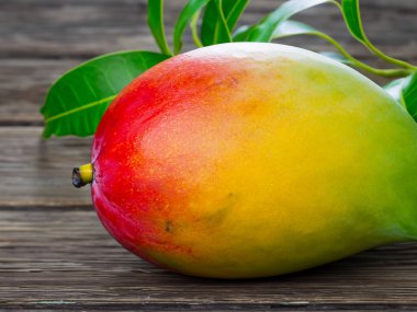 Mango tam meyve ve yapraklar